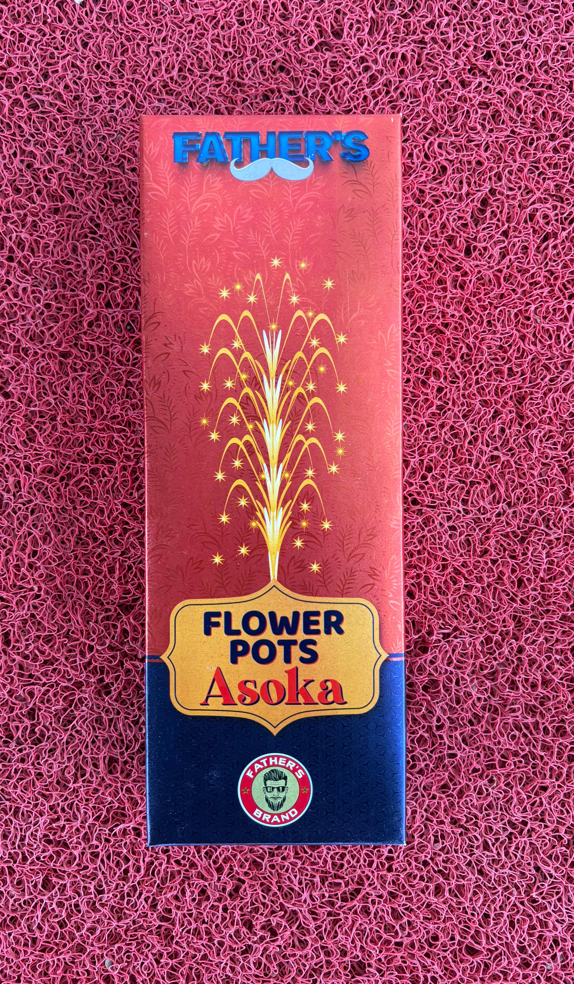 FLOWER POTS ASHOKA & GAINT