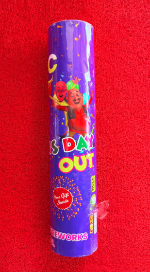 CHILDRENS DAY OUT